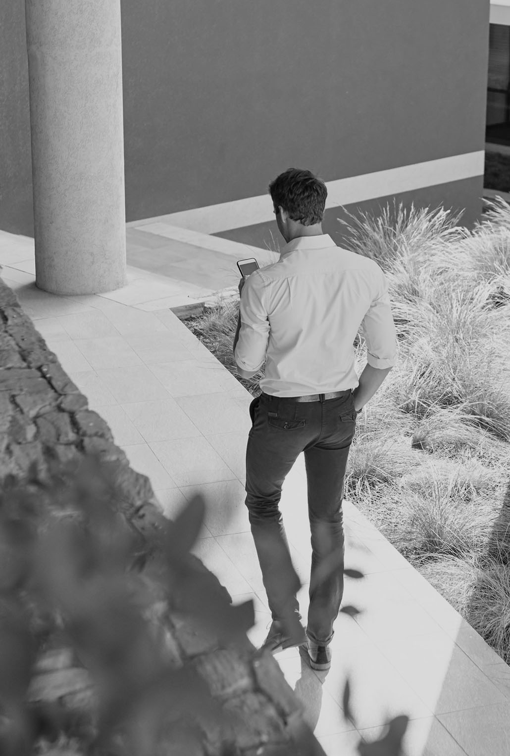 Chairvolotti Advisor Assist page v4